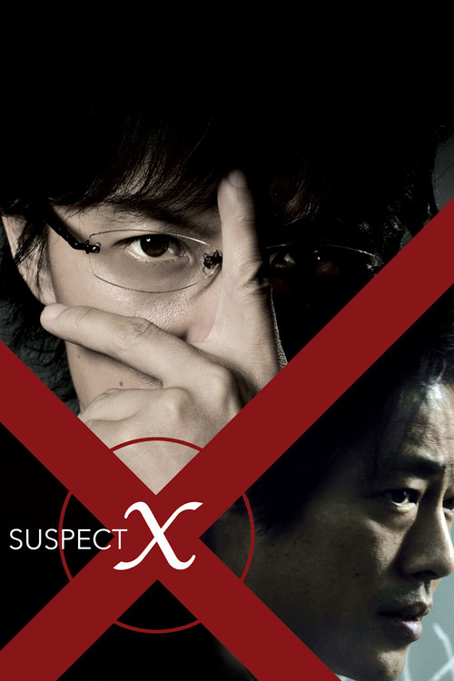 Suspect X постер