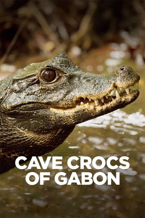 Cave Crocs of Gabon постер