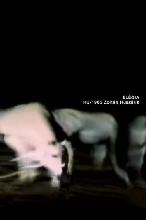 Elégia постер