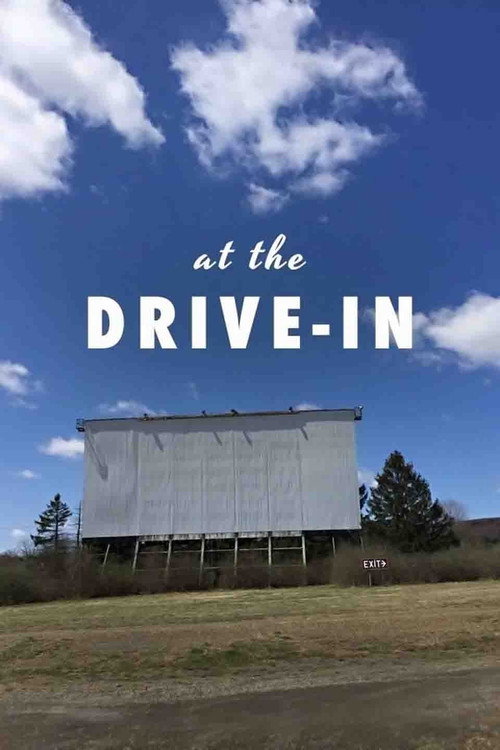 At the Drive-In постер