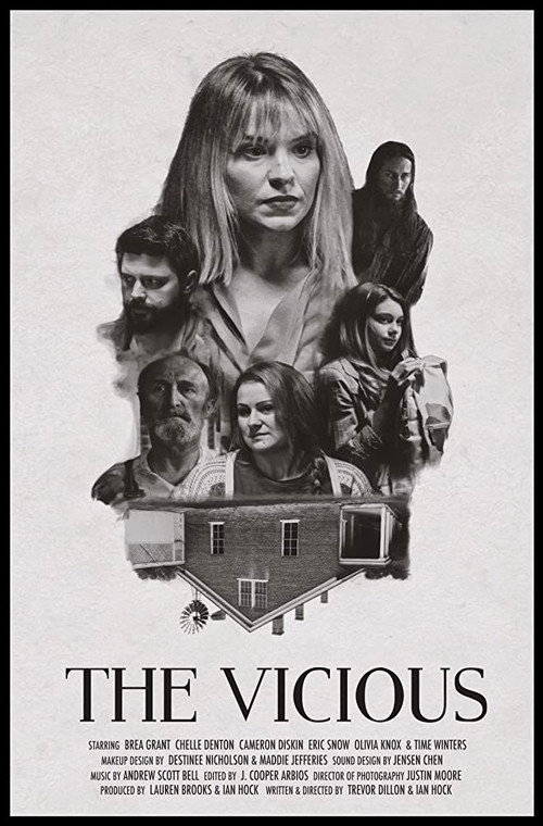 The Vicious постер