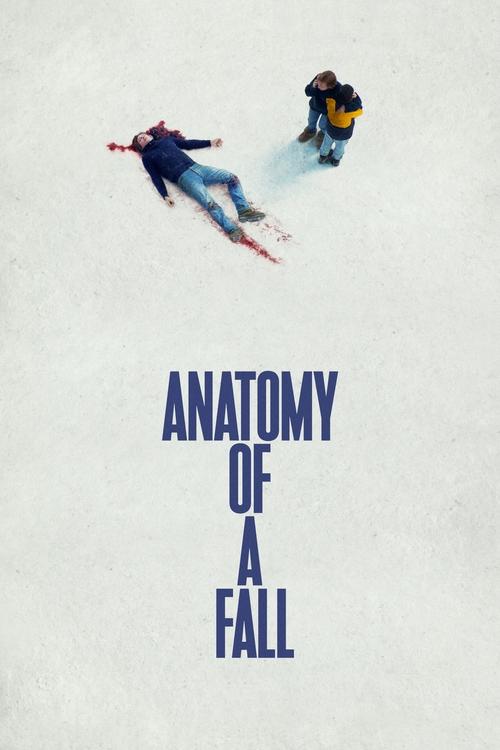 Anatomy of a Fall постер