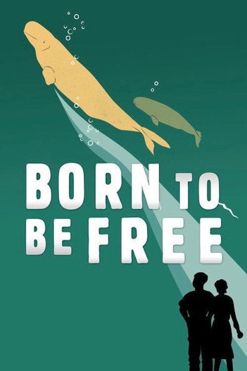 Born to Be Free постер