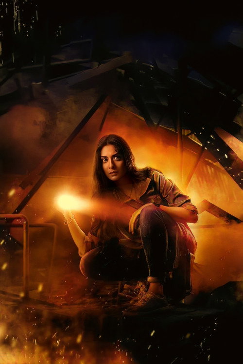 P.I. मीना постер