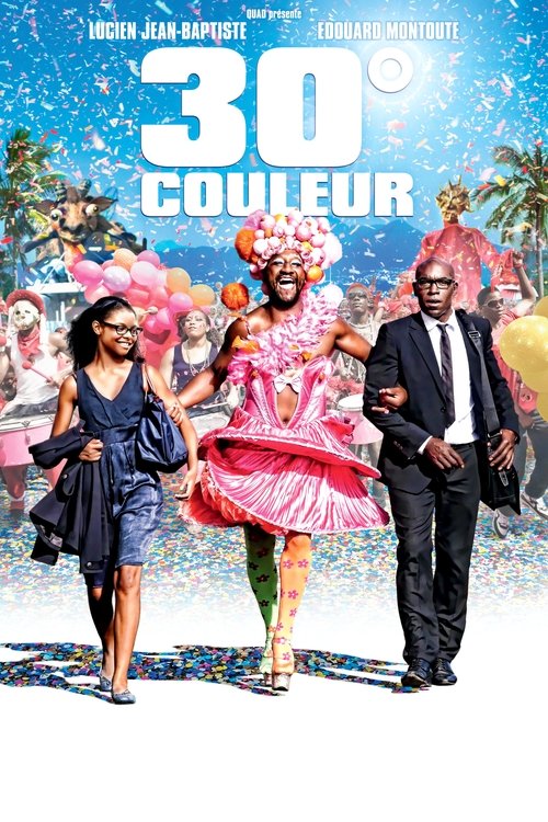 30° Couleur постер