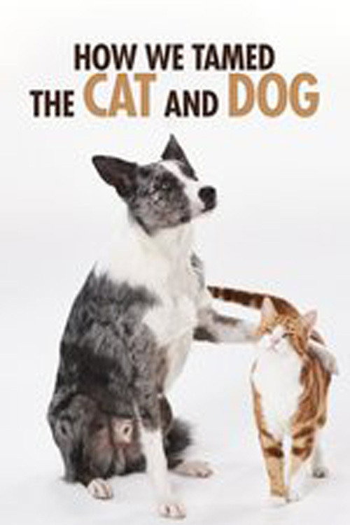 How We Tamed the Cat and Dog постер
