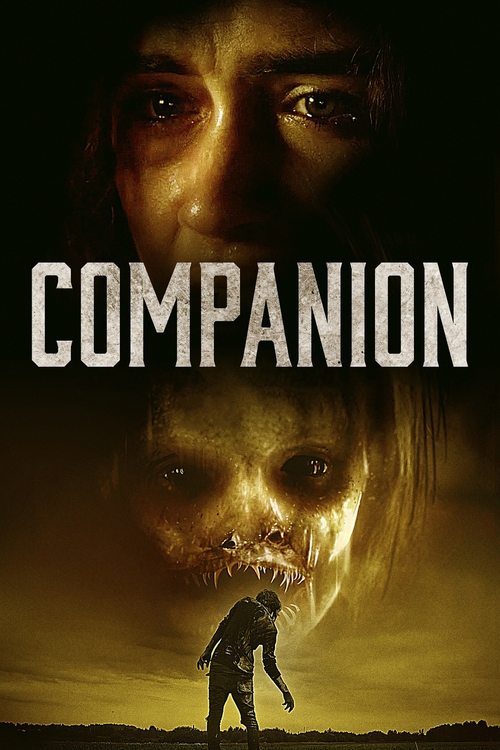 Companion постер