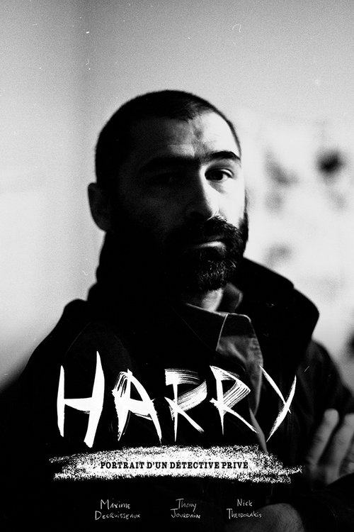 Harry: A Private Eye Documentary постер