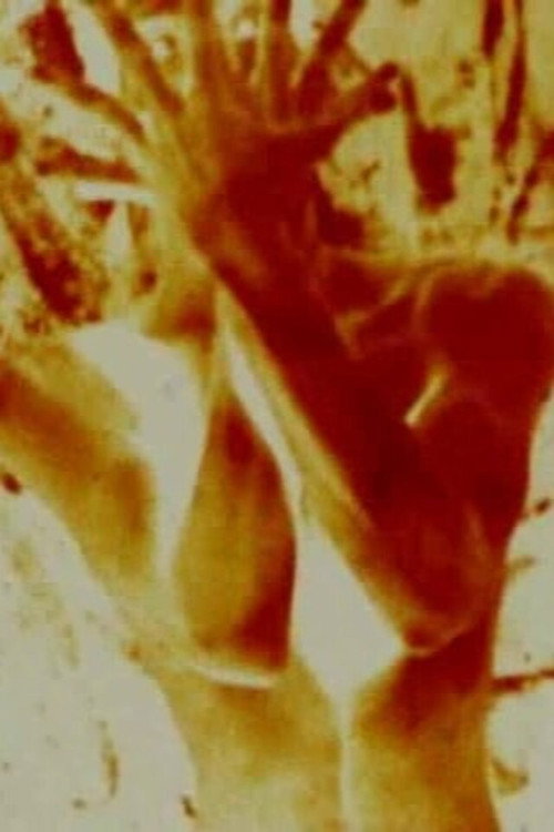 The Red Thread постер