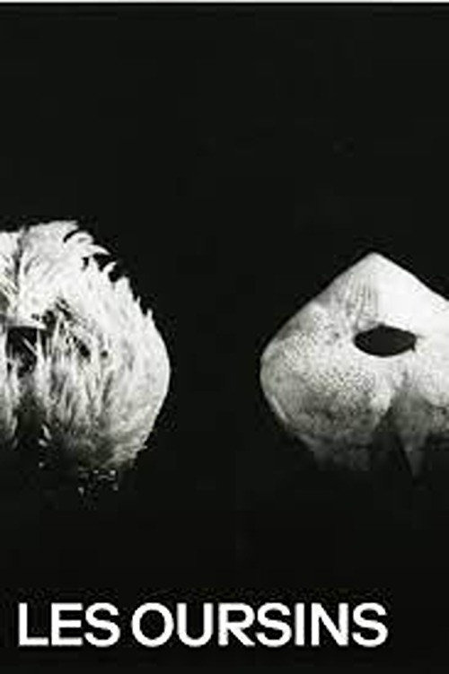 Les oursins постер