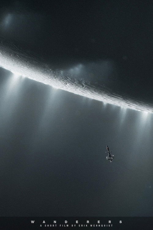 Wanderers постер