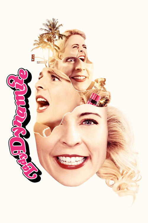 Lady Dynamite постер