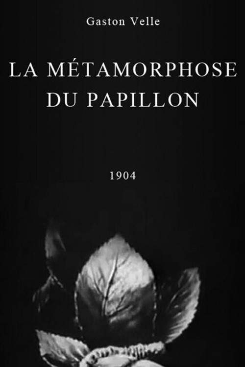 Métamorphoses du papillon постер