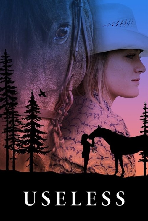 Useless постер