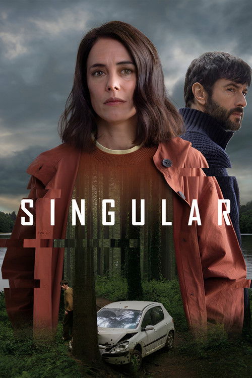 Singular постер