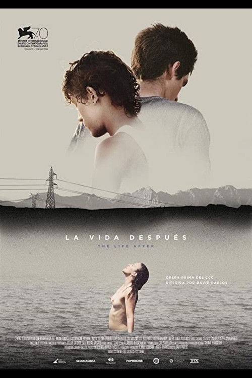 La vida después постер