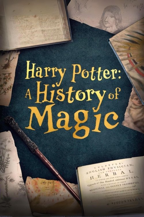 Harry Potter: A History Of Magic постер