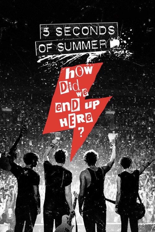 5 Seconds of Summer: How Did We End Up Here? постер
