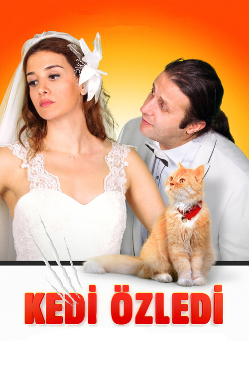 Kedi Özledi постер