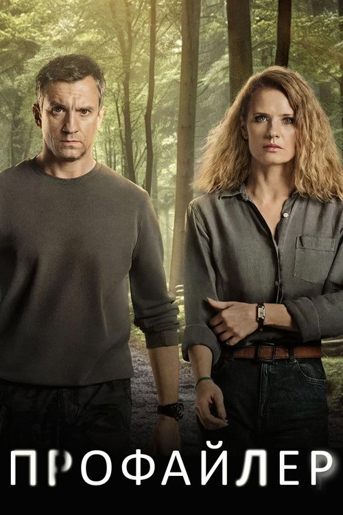 Профайлер постер