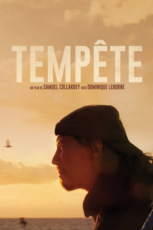 Tempête постер