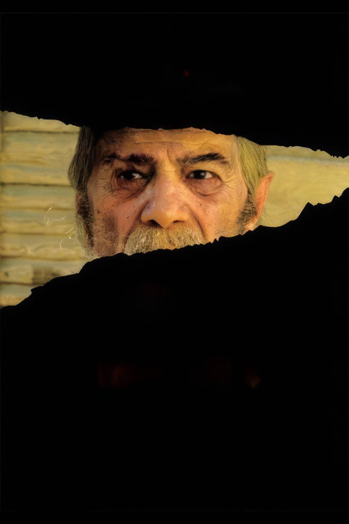 Божественный огонь постер