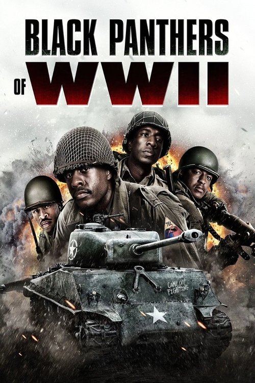 Black Panthers of WWII постер