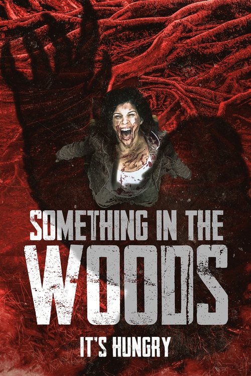 Something in the Woods постер