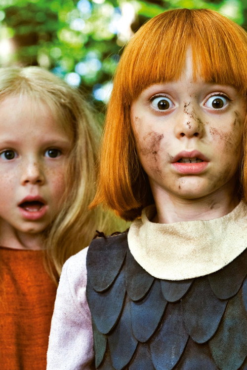 Вики - маленький викинг постер