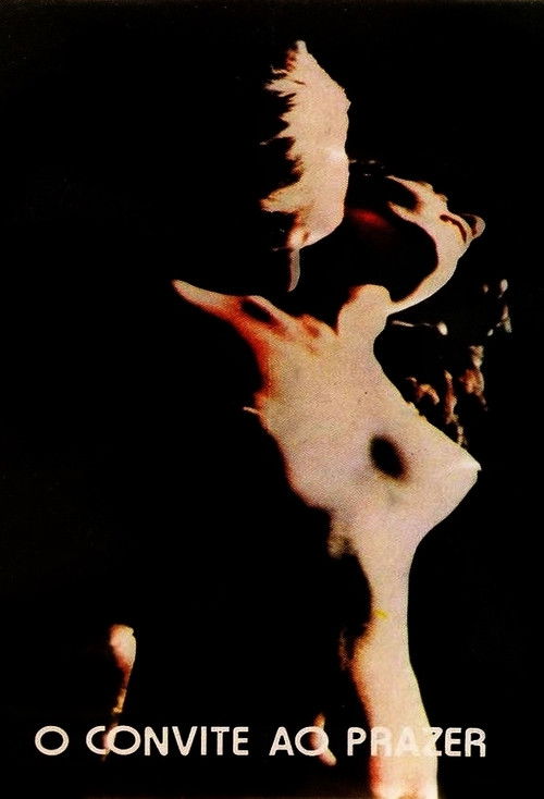 Invitation to Pleasure постер