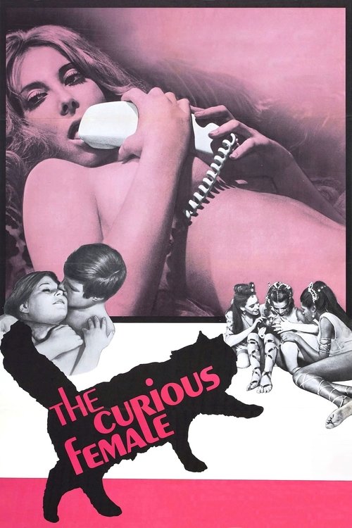 The Curious Female постер