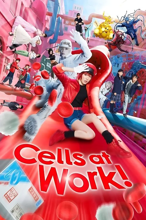 Cells at Work! постер