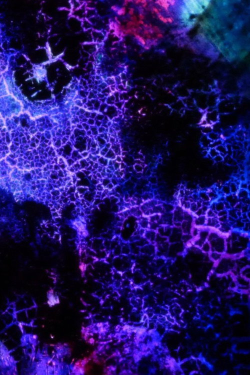 Elementary Phrases постер