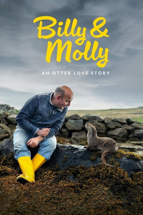 Billy & Molly: An Otter Love Story постер