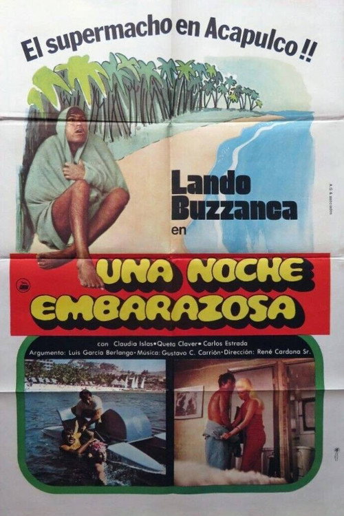 Una noche embarazosa постер