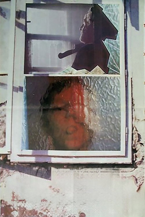 Reflections постер