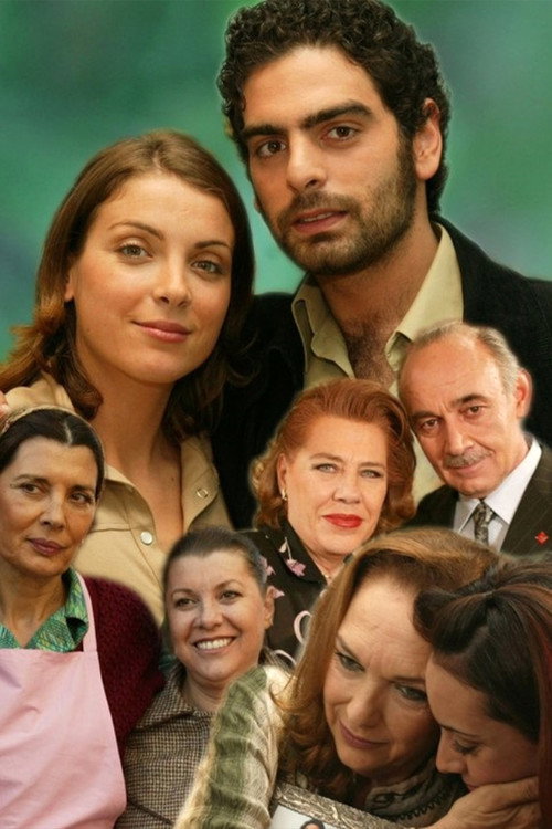 Узоры из роз постер