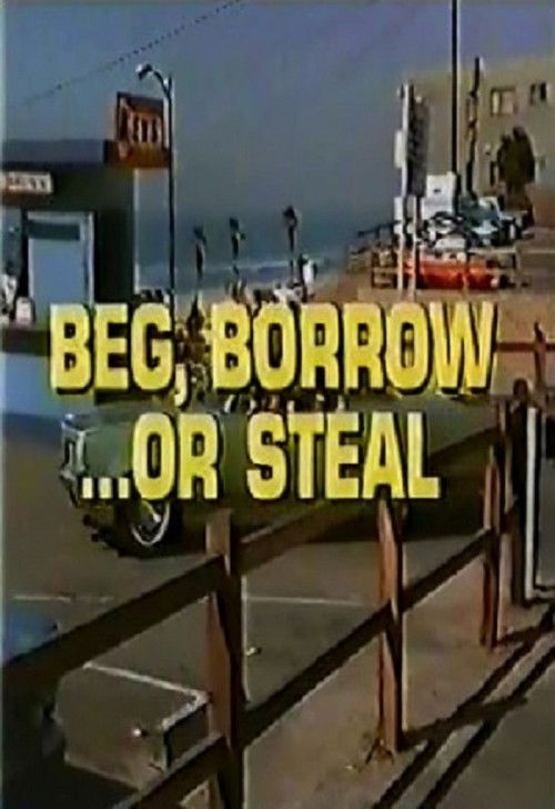 Beg, Borrow...or Steal постер