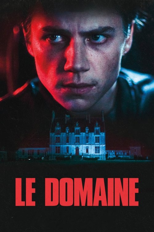 Le domaine постер