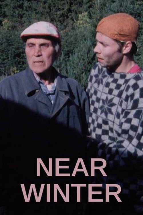 Vinterveien постер