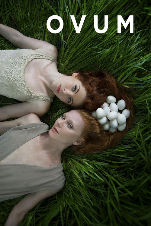 Ovum постер