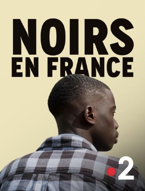 Noirs en France постер