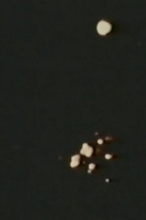 Song 11 постер