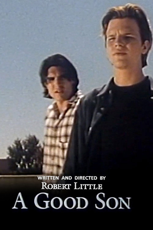 A Good Son постер