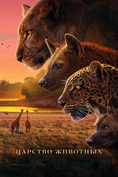 Королевство постер