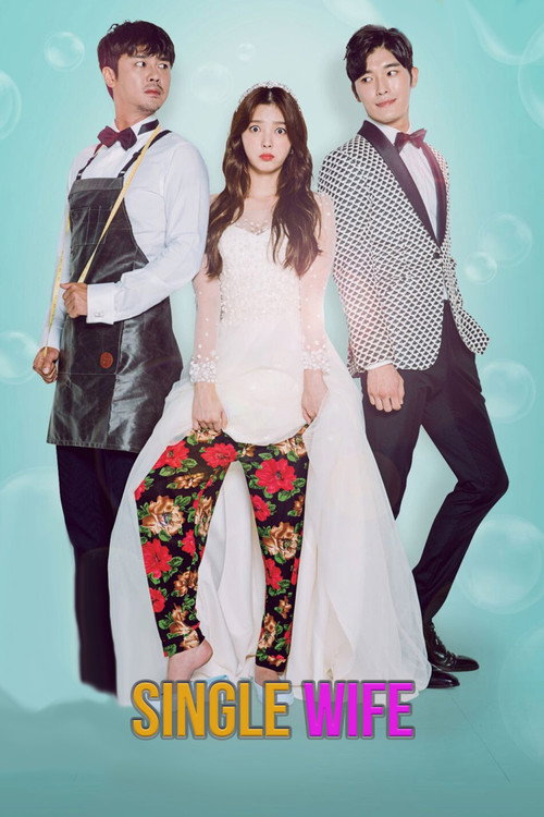 싱글 와이프 постер