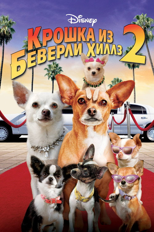 Крошка из Беверли-Хиллз 2 постер