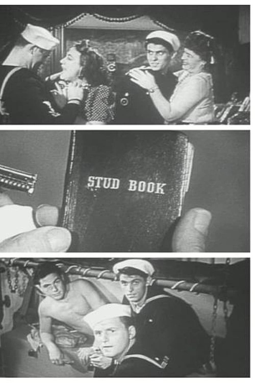 USS VD: Ship of Shame постер