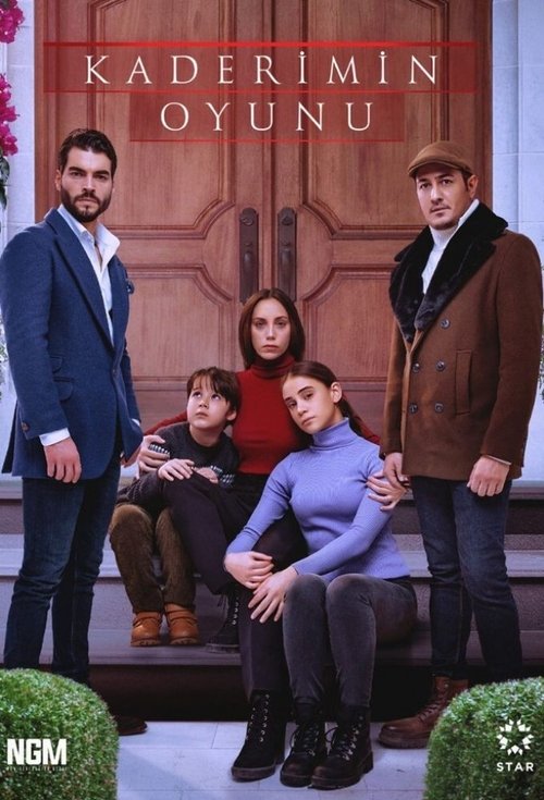 Игра моей судьбы постер