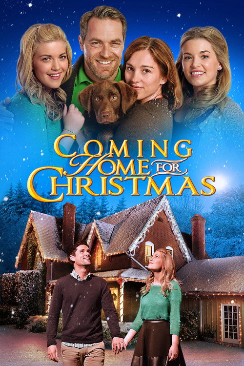 Coming Home for Christmas постер